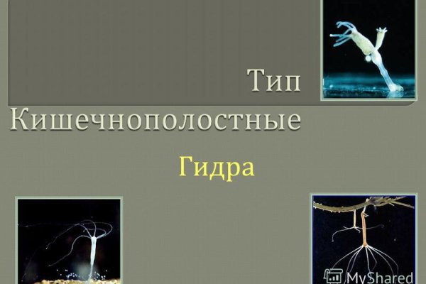 Что такое кракен магазин