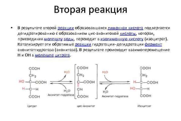 Вход на кракен зеркало