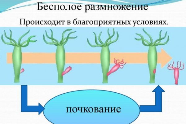 Кракен сайт