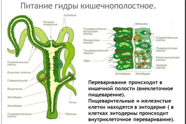 Кракен марке